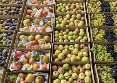 WhatsApp Image 2023-05-09 at 7.29.39 PM (3)