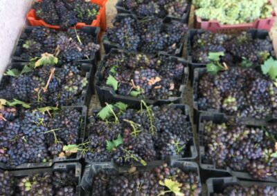 WhatsApp Image 2023-05-09 at 7.29.40 PM (2)