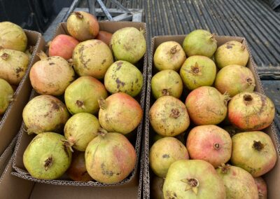 WhatsApp Image 2023-05-09 at 7.29.40 PM