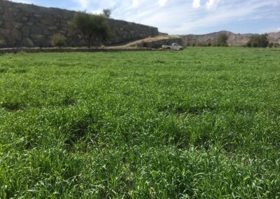 WhatsApp Image 2023-05-09 at 7.39.44 PM (1)