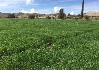 WhatsApp Image 2023-05-09 at 7.39.44 PM