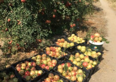 WhatsApp Image 2023-05-09 at 7.39.45 PM (1)