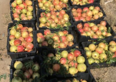 WhatsApp Image 2023-05-09 at 7.39.45 PM (2)