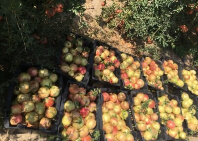 WhatsApp Image 2023-05-09 at 7.39.45 PM