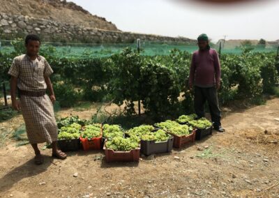 WhatsApp Image 2023-05-09 at 7.39.46 PM (2)