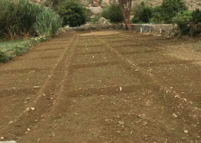 WhatsApp Image 2023-05-09 at 7.39.46 PM (3)