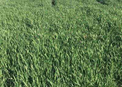 WhatsApp Image 2023-05-09 at 7.39.47 PM (1)