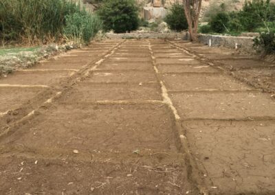 WhatsApp Image 2023-05-09 at 7.39.47 PM