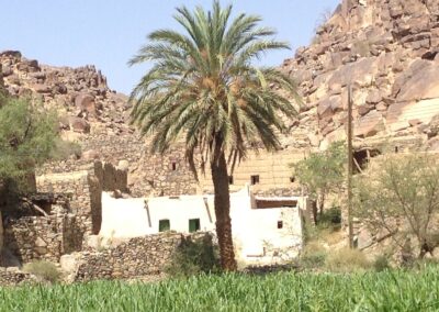 WhatsApp Image 2023-05-09 at 7.39.49 PM (2)