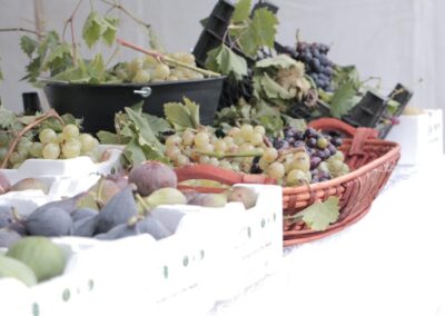 WhatsApp Image 2023-05-09 at 8.42.15 PM (1)