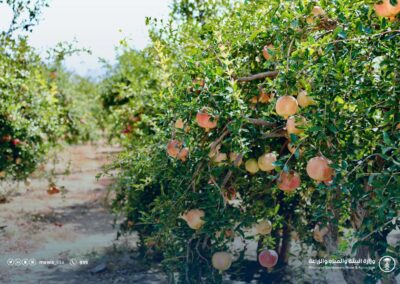 WhatsApp Image 2023-05-09 at 8.42.15 PM