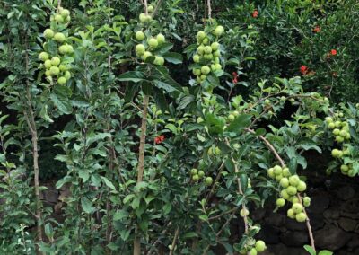 WhatsApp Image 2023-05-09 at 8.42.16 PM